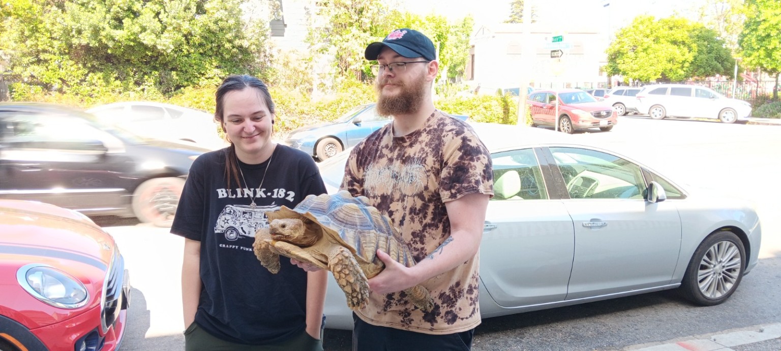 Lulu the tortoise with the two people who came to pick her up